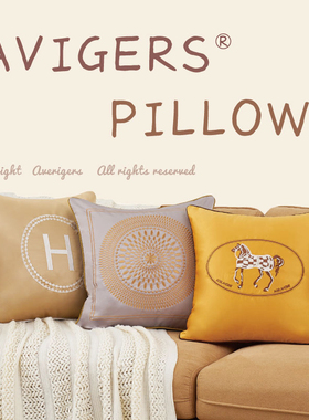 北欧沙发抱枕轻奢客厅靠垫床头橙色大靠背美式高档抱枕套不含芯