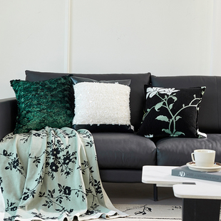 轻奢高级感抱枕套客厅高端皮沙发抱枕靠背垫高颜值床头腰靠枕毛毯