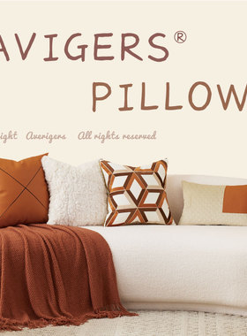 北欧沙发抱枕靠垫轻奢客厅现代简约高档酒店床头橙色大靠背护腰枕