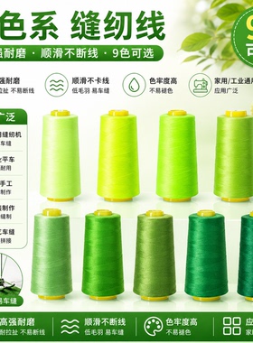 柳青牌402绿色系高速缝纫机线家用DIY手工套装缝衣DIY刺绣针线