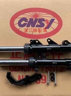 雅马哈 林海极光三代目 劲战125 原装原厂前避震 前减震器 前叉