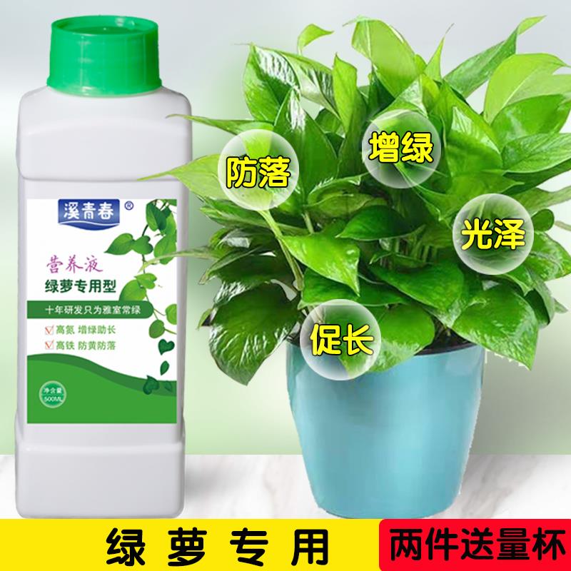 绿萝营养液水培土培植物通用防黄叶增绿全养分液肥绿植肥料包邮