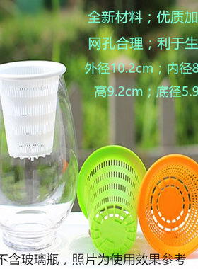 喜茶奶茶定植篮水培无土栽培定植