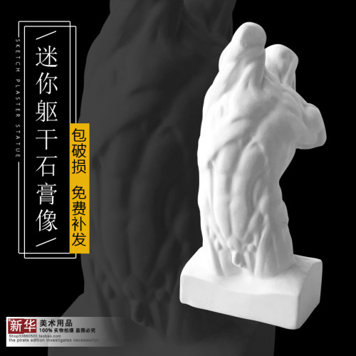 小躯干 石膏像教具模具素描静物写生美术教材头像胸像厂家直销