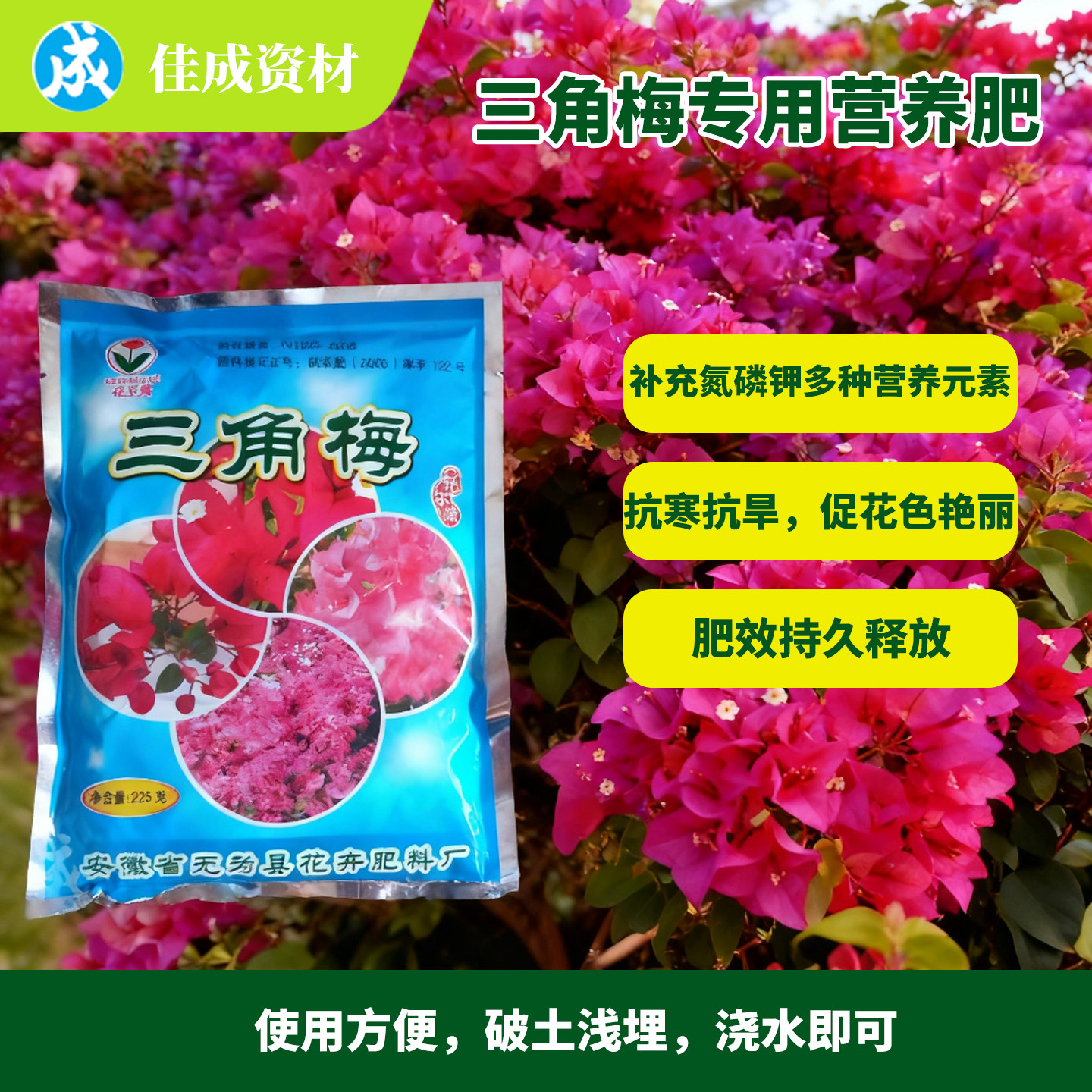 三角梅专用肥料滋养花朵助力绽放腊梅通用养花好帮手多方位呵护
