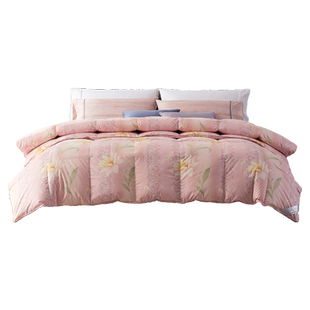 阿思家现充羽绒被特殊尺寸重量专拍链接