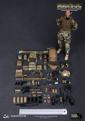【GD漫玩社】DAMTOYS DAM78006 MARSOC 陆战队特种作战团别动队