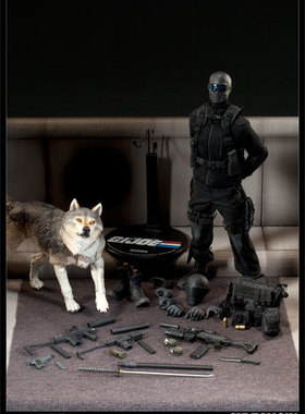 【GD漫玩社】Sideshow 特种部队 GIJOE 面具人 蛇眼 2.0 带狼