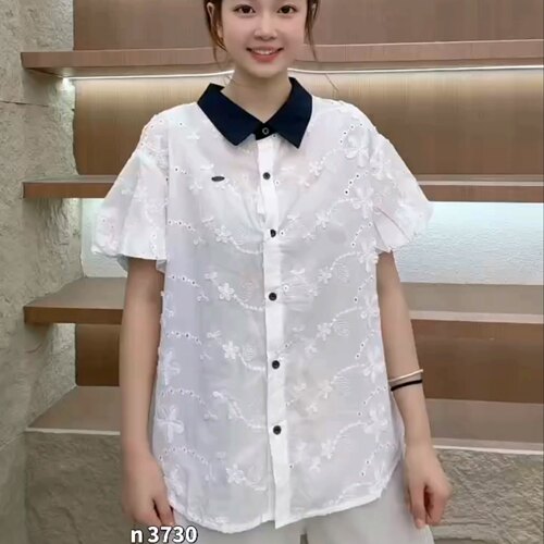 3730女权贵族初夏新品刺绣花镂空设计感翻领减龄上衣加大码女装