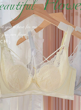 原200+佛山品牌撤柜BC杯性感蕾丝薄杯文胸聚拢软钢圈兔耳朵杯内衣