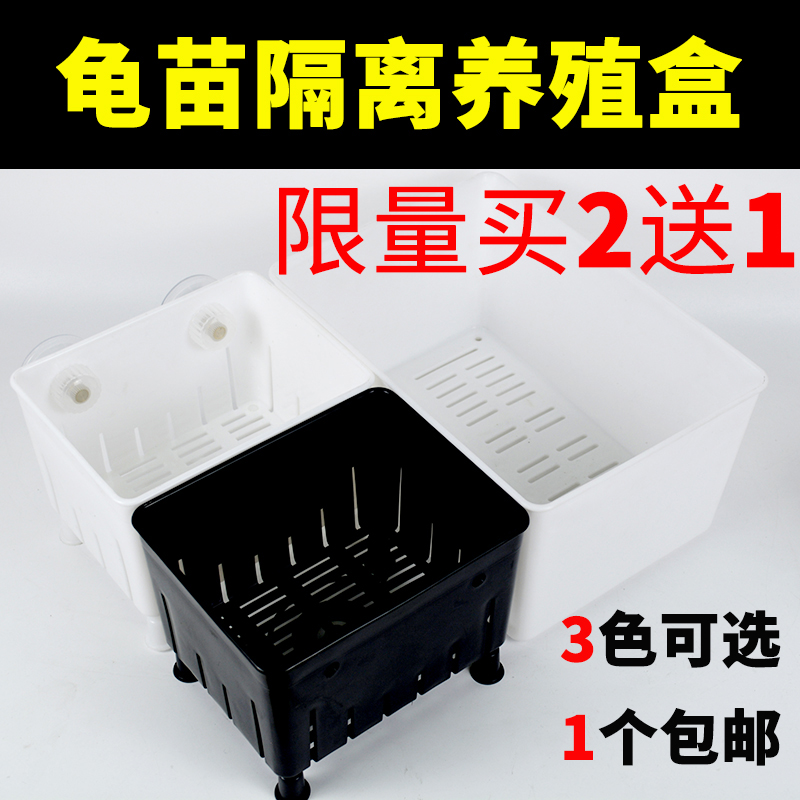 乌龟发色隔离盒乌龟发色盒占养箱青鳉隔离盒饲养盒龟苗病鱼隔离盒