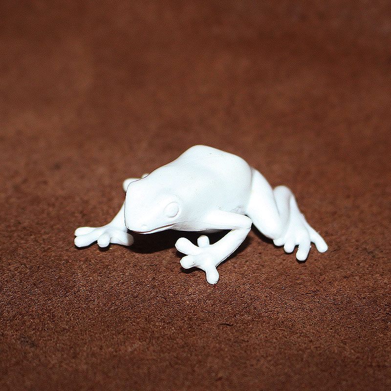 safari 仿真动物模型玩具 两栖动物塑胶摆件 青蛙白模