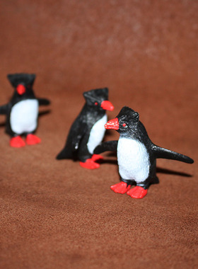 safar i正品散货仿真动物模型塑料玩具海洋场景摆件 跳岩企鹅