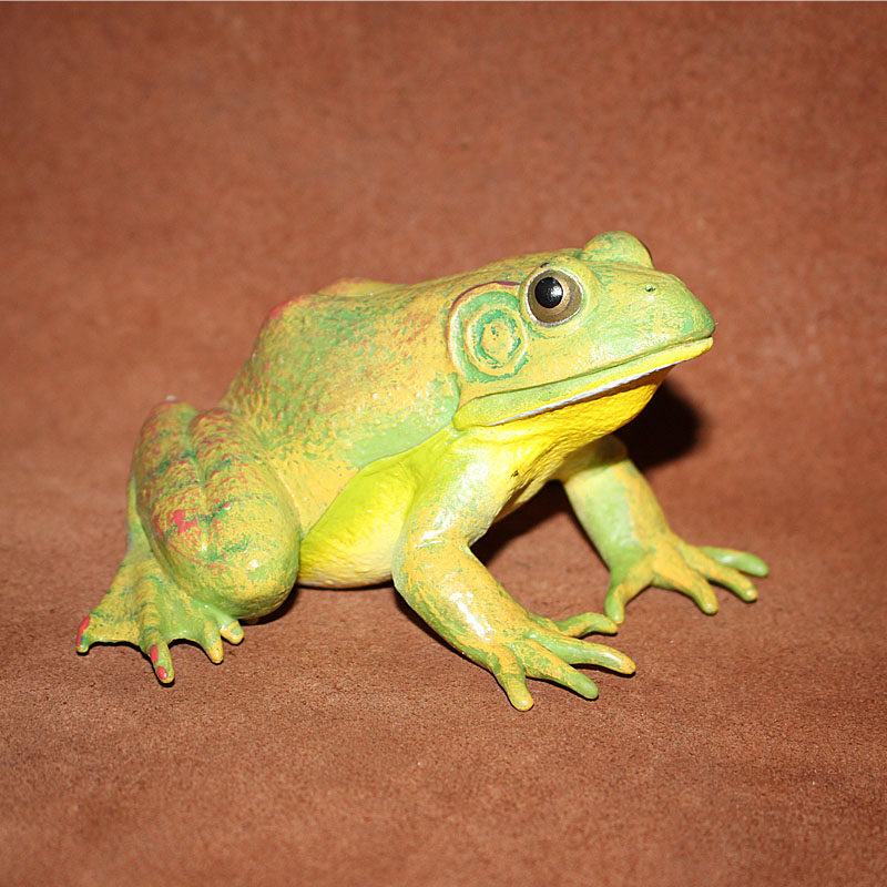 safari 仿真动物模型玩具 两栖动物塑胶摆件 成年青蛙 牛蛙