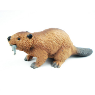 safari美国正品 仿真动物模型玩具 野生动物场景摆件 河狸