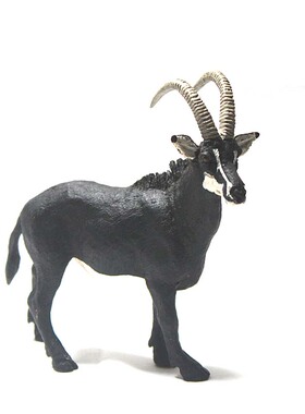 safari正品 仿真动物模型玩具摆件 野生物场景 黑貂羚羊