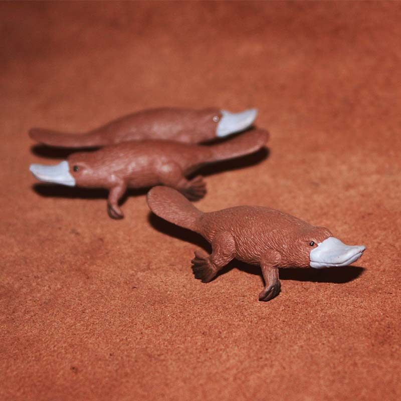 SAFARI仿真海洋动物模型玩具