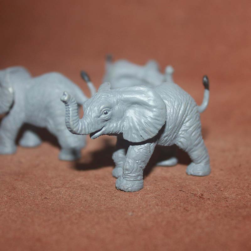 safari 正品生态仿真动物模型场景摆件 野生动物 小象 幼象