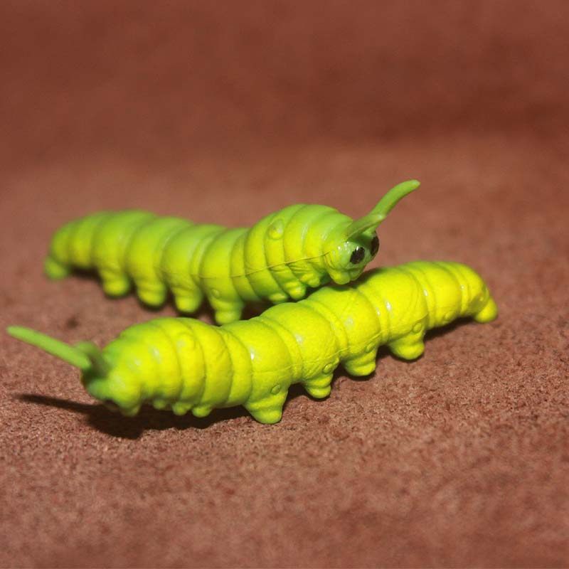 safari 仿真昆虫模型玩具场景摆件 毛毛虫子 蚕虫宝宝