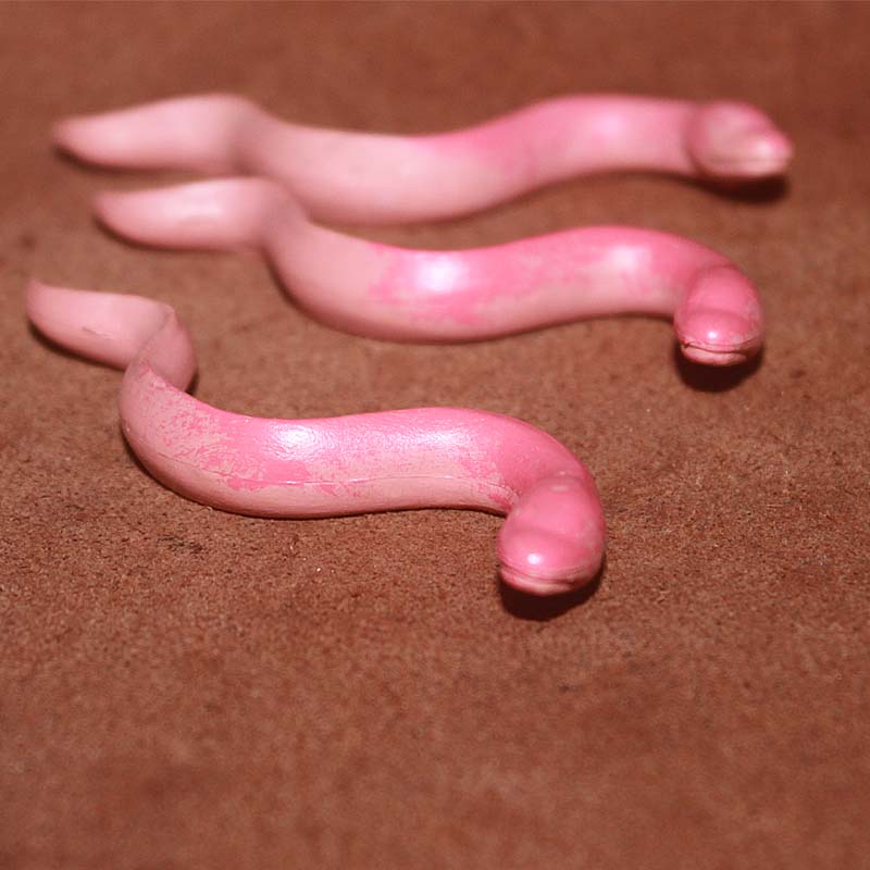 SAFARI仿真动物模型塑胶玩具