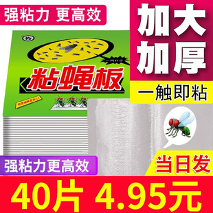 苍蝇贴强力粘苍蝇纸粘蝇板药沾蚊杀手捕捉器灭蝇子神器一扫光家用