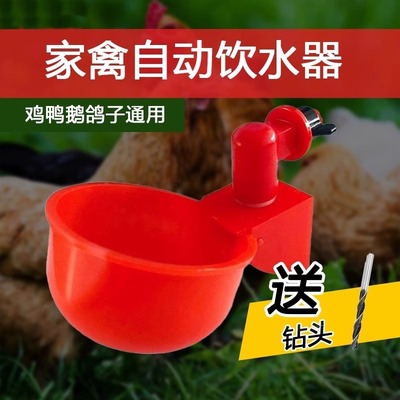 养鸡用自动饮水器鸡鸭鹅饮水碗鸽子鹌鹑家禽养殖专用鸟小鸡喂水碗