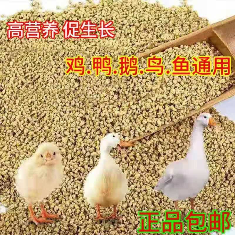 小鸡鸭产蛋增肥饲料芦丁鸡开口粮