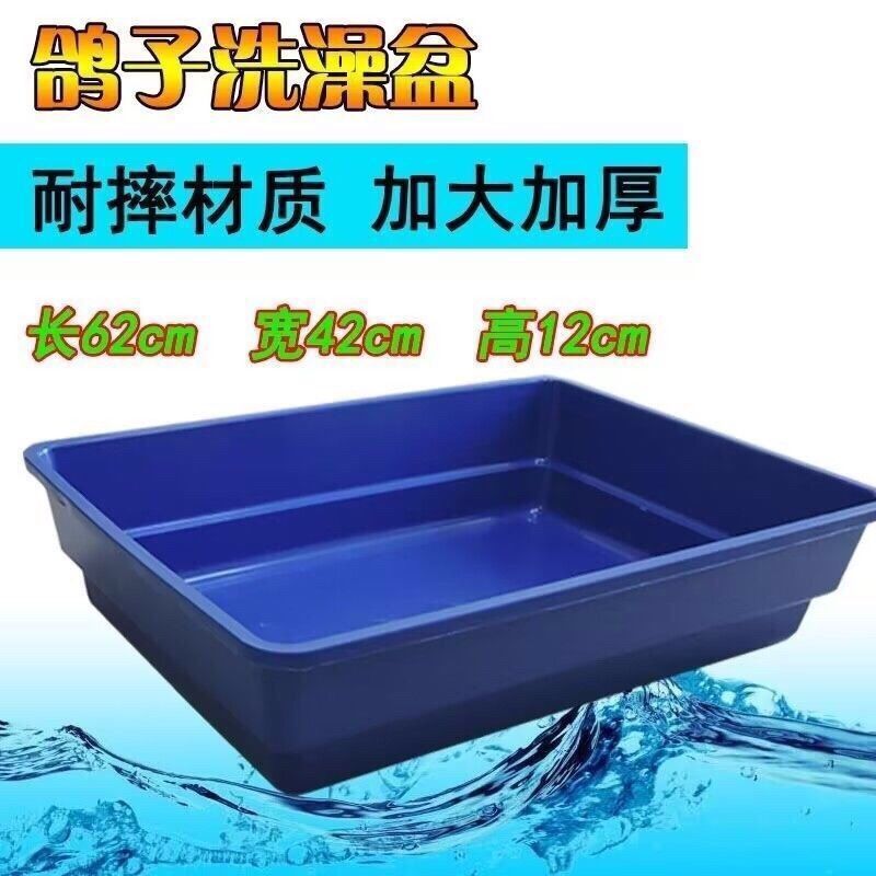鸽子洗澡盆赛鸽信鸽专用大号澡盆浴盆鸽子用品用具鸽具栖架站架