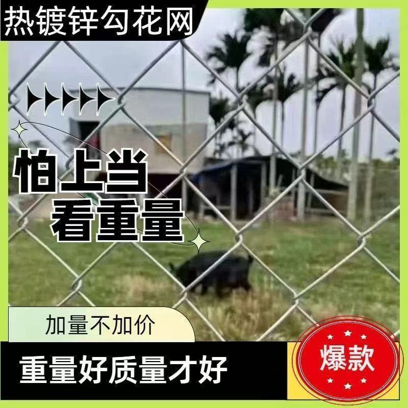 勾花网包塑装饰挂网户外养殖圈地球场隔离栅栏围网厂围栏体育场护