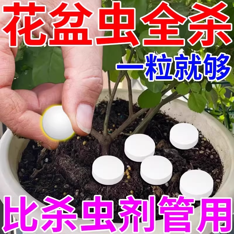 园艺防虫片驱虫除蓟马糖化硼肥片盆栽果花卉植物防烂根土壤养花