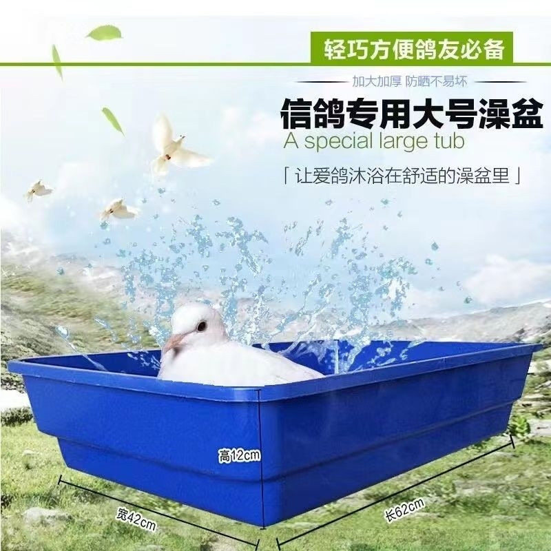 鸽用澡盘鸽子鸽具用品鸽舍塑料浴盆大号公棚洗澡盆加厚浅盘
