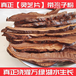 津泰康【赤灵芝片】孢粉香浓菇菌干货煲汤煮养生茶蒸鸡炖肉无硫黄
