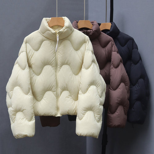 江南新款波浪纹立领短款羽绒服女