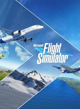 微软模拟飞行2020 MSFS 2020 涂装定制 空客 波音