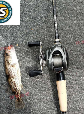 NS 复仇者 路亚竿枪柄直柄超强碳素独节双节淡水通用型翘嘴鲈鱼竿