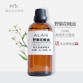 天然野菊花精油100ml修复肌肤香薰按摩油草本植物单方精油纯正