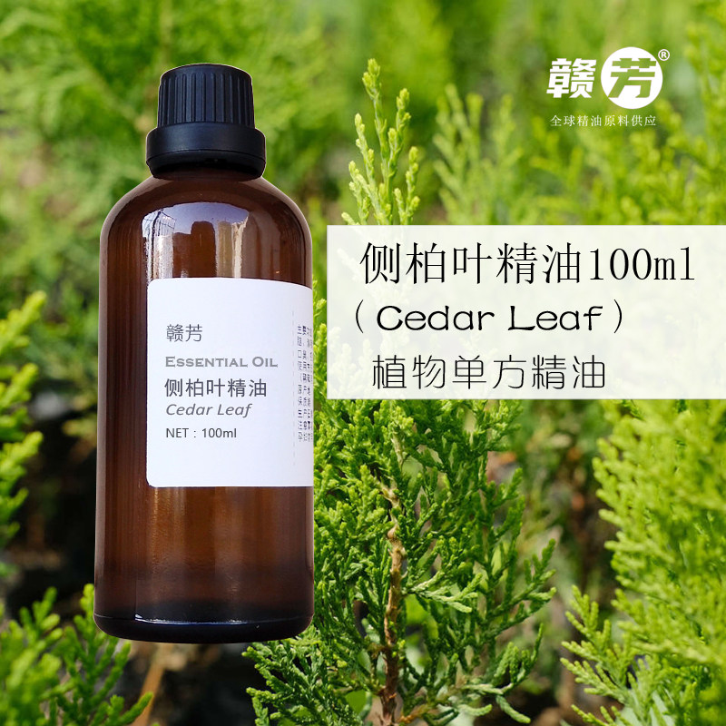 侧柏叶精油100ml侧柏油单方舒缓关节疼痛皮肤炎痤疮控油舒缓