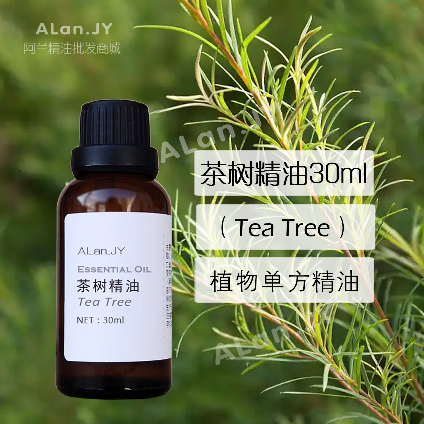 纯澳洲茶树精油30ml互叶白千层单方改善痘痘按摩油香薰香氛原料