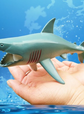 仿真大海洋生物动物模型大王乌贼大白鲨章鱼海豚河豚龙虾儿童玩具