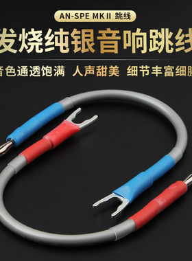 原装 英国 Audio Note 音乐贵族 AN-SPe MKⅡ 纯银喇叭音箱跳线