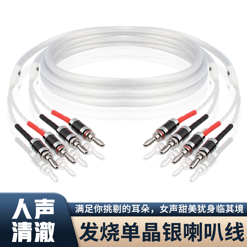 荷兰5N单晶铜镀银发烧喇叭线