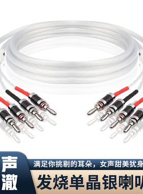 荷兰 发烧音箱喇叭线5NOCC高纯单晶铜镀银HIFI音响胆机功放连接线