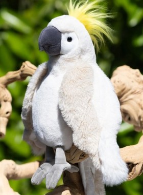 英国代购正品08.26 Bukowski Bears Mango Parrot芒果鹦鹉 小红书