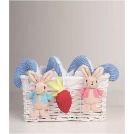 ActivitySpiralPeterRabbit