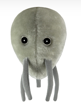 英国代购正品12.22 Plague Inc. Nano-Virus 瘟疫公司纳米病毒