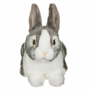 英国代购正品12.31 Living Nature Grey & White 灰白宠物兔