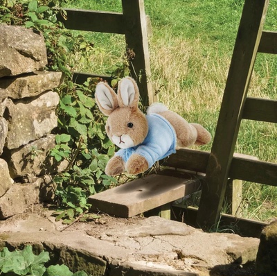 LyingPeterRabbitSmall