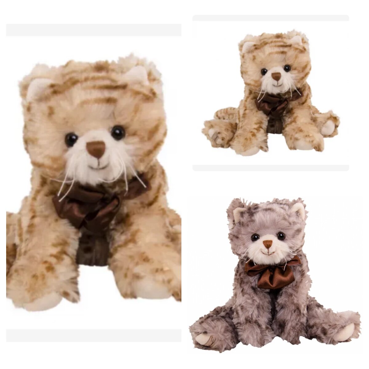 bukowskibears系丝巾的猫咪