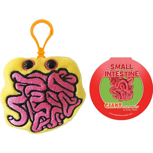 英国代购正品07.13 Small Intestine Keyring 小肠钥匙扣教育辅材