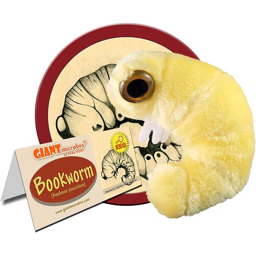 英国代购正品07.13 Bookworm 巨型微生物书虫 毛绒玩偶 教育辅材
